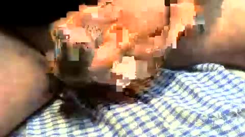 Snapshot of klok8230 chatting on March 2026 01:22:01 PM klok8230 online show from March 2026 01:22:01 PM