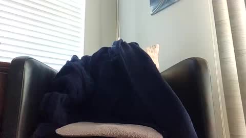 Snapshot of knightrider4324 chatting on December 2024 07:06:01 PM knightrider4324 online show from December 2024 07:06:01 PM