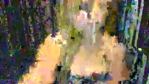 Snapshot of knows_everything chatting on September 2025 11:38:01 PM Knows Everything online show from September 2025 11:38:01 PM