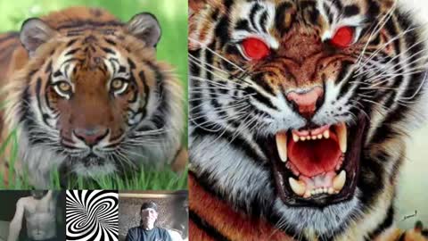 Snapshot of kodiakpm1 chatting on February 2025 07:15:02 AM kodiakpm1 online show from February 2025 07:15:02 AM