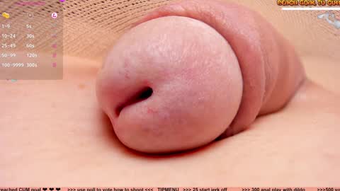 Petra online show from December 2024 05:43:02 PM