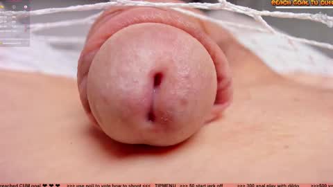 Petra online show from November 2025 07:46:02 PM