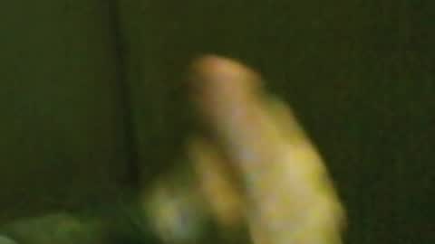 Snapshot of kren565656 chatting on March 2026 11:49:01 AM kren565656 online show from March 2026 11:49:01 AM