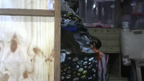 Snapshot of krishasweet chatting on December 2024 03:58:01 PM krishasweet online show from December 2024 03:58:01 PM