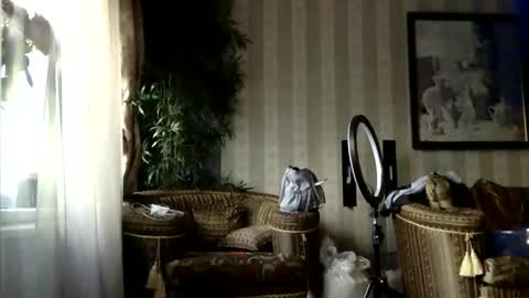 kristinalamour96 online show from September 2025 12:28:02 PM