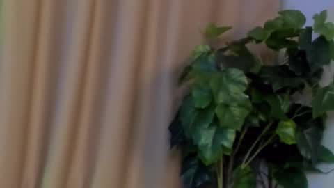 Snapshot of kristinedean chatting on December 2024 09:50:02 AM Kristi online show from December 2024 09:50:02 AM