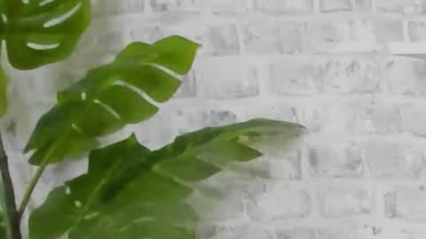 Snapshot of kristinedean chatting on December 2024 09:45:02 AM Kristi online show from December 2024 09:45:02 AM