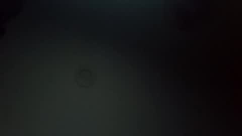 krsfee1 online show from February 2025 02:24:02 PM