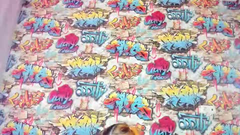 Snapshot of krysadapp chatting on November 2025 12:56:02 AM Krys online show from November 2025 12:56:02 AM