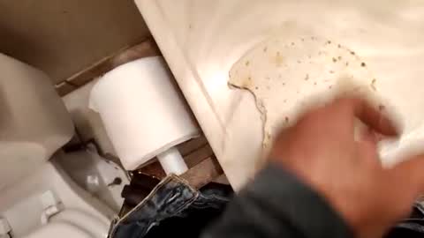 kumnnkevsuks4 online show from January 2025 08:14:01 PM