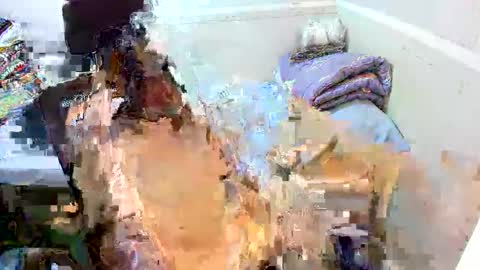 Snapshot of kylinebigloader chatting on September 2025 04:56:01 AM Eynah online show from September 2025 04:56:01 AM