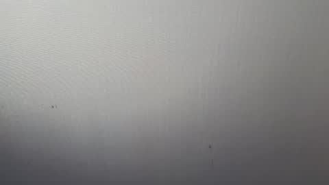 Adonis online show from March 2025 04:02:02 AM