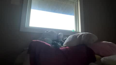Snapshot of lacedinsin chatting on May 2026 02:30:01 AM lacedinsin online show from May 2026 02:30:01 AM