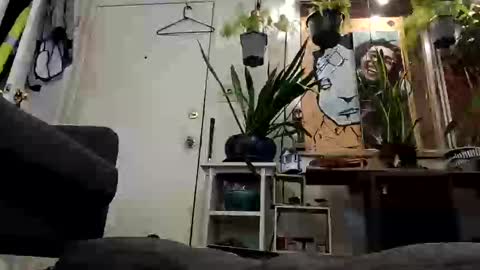 lacybell online show from February 2025 07:28:02 AM