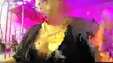 Lady Gloria online show from January 2025 03:40:01 AM