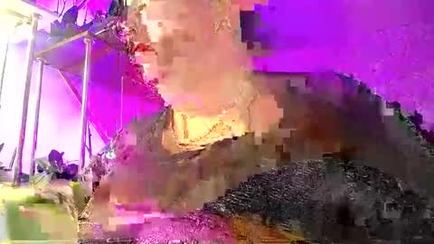 Lady Gloria online show from January 2026 05:43:02 AM