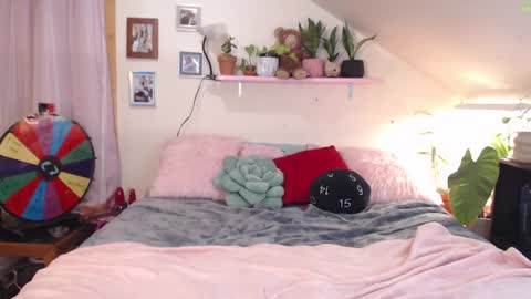 ladyboyhomemaker online show from January 2025 08:00:01 AM