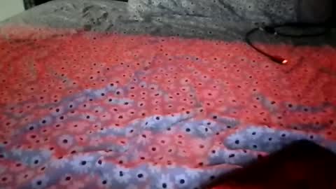 Snapshot of ladycinnabon chatting on December 2025 01:54:01 AM Stephanie online show from December 2025 01:54:01 AM