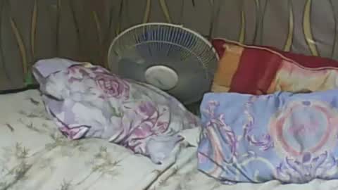 Snapshot of ladyxsnakes chatting on February 2025 06:24:01 PM LadyXSnakes online show from February 2025 06:24:01 PM