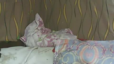 Snapshot of ladyxsnakes chatting on February 2025 06:08:02 AM LadyXSnakes online show from February 2025 06:08:02 AM