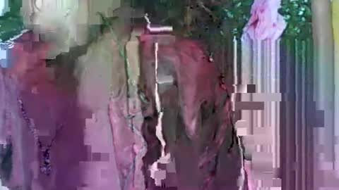 Snapshot of ladyxsnakes chatting on September 2025 04:03:01 AM LadyXSnakes online show from September 2025 04:03:01 AM