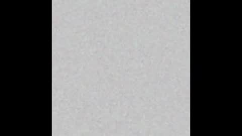  paola and a guest lol    online show from November 2025 02:08:01 PM