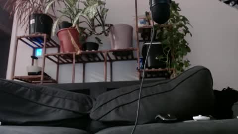 Rick online show from December 2024 08:26:01 AM