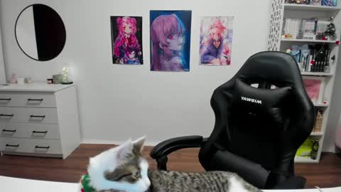 Kira online show from December 2024 06:31:02 PM