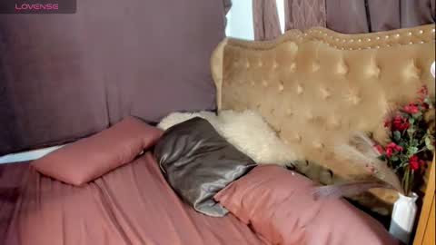 lisaa online show from September 2025 01:05:02 AM