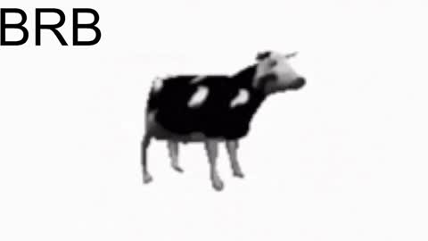 just call me Lana  and her security online show from January 2025 05:19:01 PM