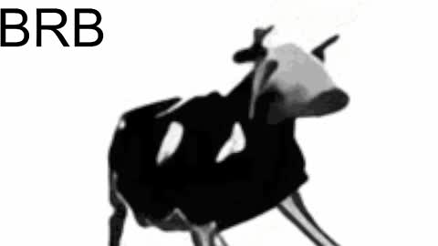 just call me Lana  and her security online show from February 2025 05:28:01 PM