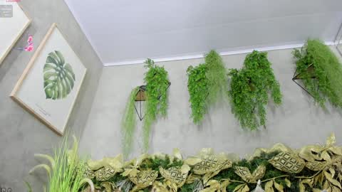 Snapshot of lana_lann chatting on December 2024 11:54:02 AM lana_lann online show from December 2024 11:54:02 AM