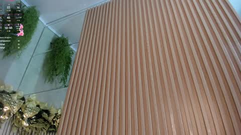 Snapshot of lana_lann chatting on December 2024 03:37:02 PM lana_lann online show from December 2024 03:37:02 PM