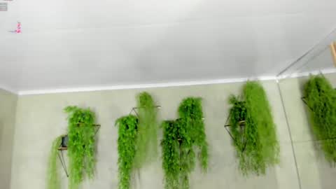 Snapshot of lana_lann chatting on January 2025 12:30:02 PM lana_lann online show from January 2025 12:30:02 PM