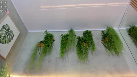 Snapshot of lana_lann chatting on January 2025 03:34:01 PM lana_lann online show from January 2025 03:34:01 PM