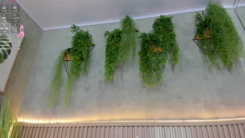 Snapshot of lana_lann chatting on January 2025 05:56:01 PM lana_lann online show from January 2025 05:56:01 PM