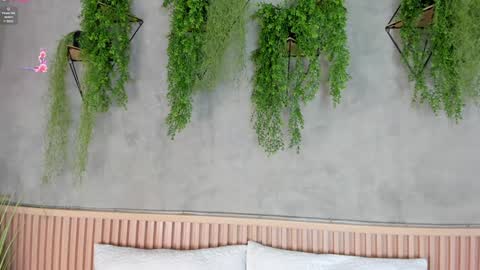 Snapshot of lana_lann chatting on January 2025 11:43:02 AM lana_lann online show from January 2025 11:43:02 AM