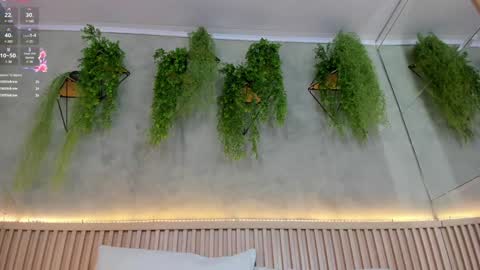 Snapshot of lana_lann chatting on February 2025 05:59:01 PM lana_lann online show from February 2025 05:59:01 PM