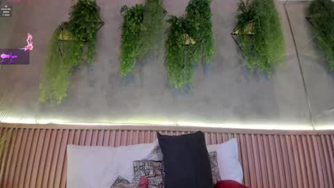 Snapshot of lana_lann chatting on February 2025 02:54:02 PM lana_lann online show from February 2025 02:54:02 PM