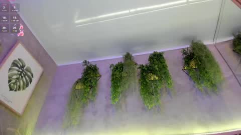 Snapshot of lana_lann chatting on February 2025 01:38:02 PM lana_lann online show from February 2025 01:38:02 PM