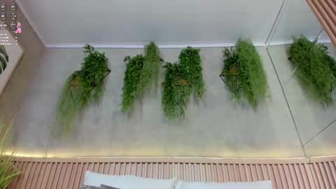 Snapshot of lana_lann chatting on March 2025 02:56:01 PM lana_lann online show from March 2025 02:56:01 PM