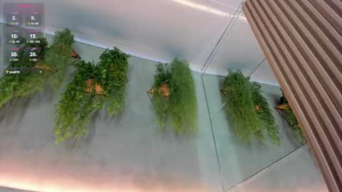 Snapshot of lana_lann chatting on September 2025 11:57:01 AM lana_lann online show from September 2025 11:57:01 AM