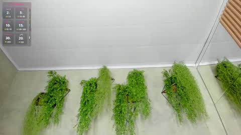 Snapshot of lana_lann chatting on September 2025 11:48:01 AM lana_lann online show from September 2025 11:48:01 AM