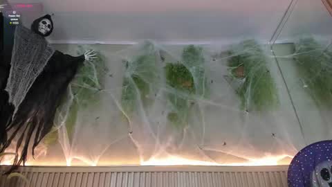 Snapshot of lana_lann chatting on October 2025 02:40:02 PM lana_lann online show from October 2025 02:40:02 PM