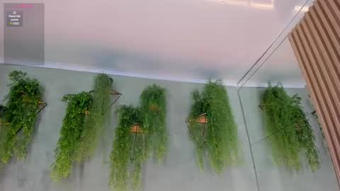 Snapshot of lana_lann chatting on November 2025 12:04:01 PM lana_lann online show from November 2025 12:04:01 PM