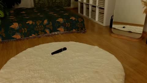 Lana online show from December 2024 02:01:02 PM