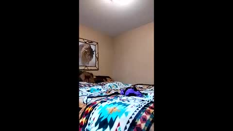 Snapshot of langederek2 chatting on March 2026 08:58:02 PM langederek2 online show from March 2026 08:58:02 PM