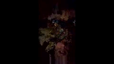 Snapshot of langederek2 chatting on May 2026 03:24:01 AM langederek2 online show from May 2026 03:24:01 AM