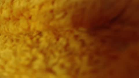 laralhotr online show from December 2024 01:11:02 AM