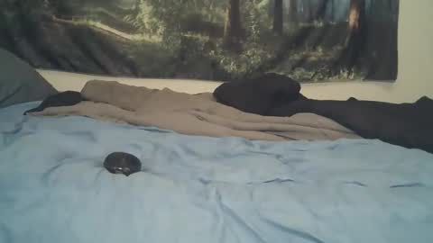 Snapshot of larbie chatting on April 2026 12:19:01 AM Larbie online show from April 2026 12:19:01 AM